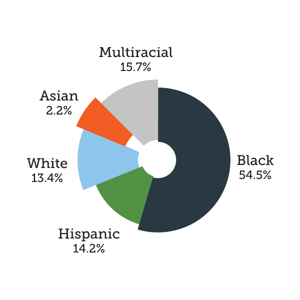 One City Schools - Racial Demographics